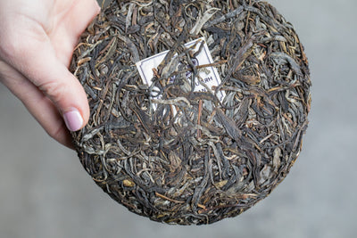 The Mysteries of Pu-erh